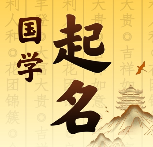 醴陵国学起名 人工起名一对一